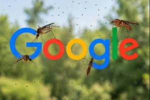 3 கோடி கொசுக்களை விடுவிக்க Google திட்டம் - அதுவும் பாக்டீரியாவால் பாதிக்கப்பட்டவை!