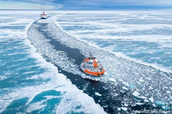 மைனஸ் 54 செல்சியஸ் குளிரில் 500 நாட்கள் ஆய்வு - ஆர்க்டிக் நோக்கி நாயுடன் புறப்பட்ட தாரா குழு