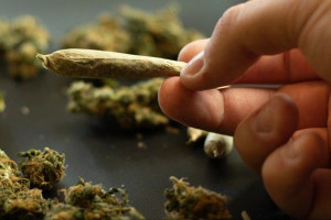 Saint-Denis: அமெரிக்காவிலிருந்து 125 கிலோ கஞ்சா கடத்திய இருவர் கைது!!