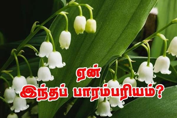 மே 1 - மலர்க்கொத்து வழங்குவது ஏன்?