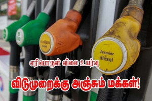 எரிபொருள் விலை உயர்வு : 8‑மே நீண்ட விடுமுறைக்கு  அஞ்சும் பிரெஞ்சு மக்கள்!