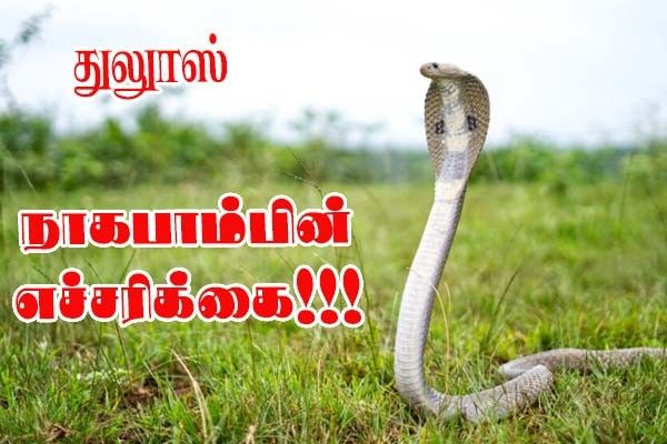 Toulouse அருகே விஷப்பாம்பு எச்சரிக்கை!