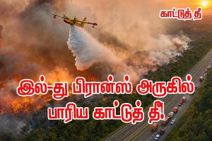 Fontainebleau காட்டுத்தீ- தீ கட்டுக்குள் கொண்டுவரப்பட்டது.— 800 தீயணைப்பு வீரர்கள்  களத்தில்!