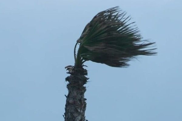 சிவப்பு எச்சரிக்கை! - 850,000 வீடுகள் இருளில்.. ஒருவர் பலி! - கோரதாண்டவமாடும் புயல்!