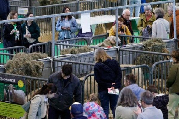 Salon de l'Agriculture 2026 : பெரும் பின்னடைவு!!