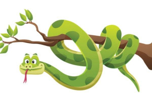 குவா காட்டில் முட்டாள் பாம்பு