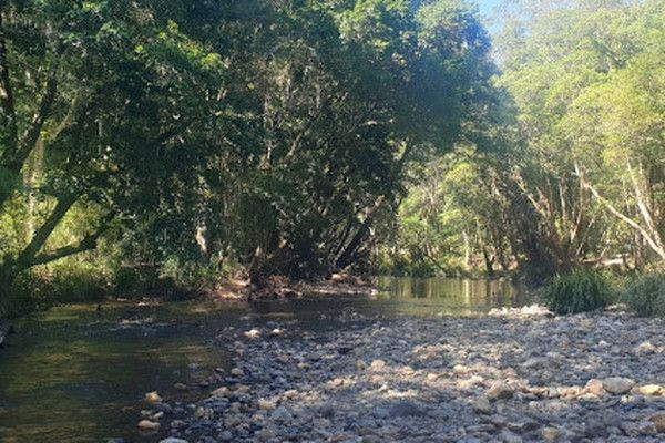 அவுஸ்திரேலியாவில் நதியில் மூழ்கிய கர்ப்பிணிப்பெண்ணை காப்பாற்ற முயன்ற இருவர் பலி