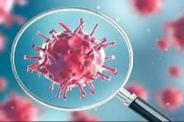  சிக்காடா கொரோனா வைரஸ் - உலக சுகாதார அமைப்பு வெளியிட்டுள்ள தகவல்