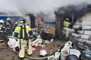 ரஷ்யாவில் நூற்றுக்கணக்கான நாய்கள்  பலி