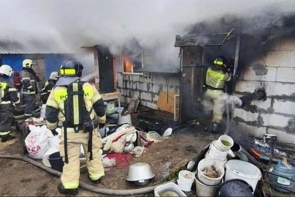 ரஷ்யாவில் நூற்றுக்கணக்கான நாய்கள்  பலி