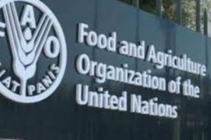 உலகளாவிய உணவு விலை நெருக்கடி ஏற்படும் -  FAO அமைப்பு சிவப்பு எச்சரிக்கை