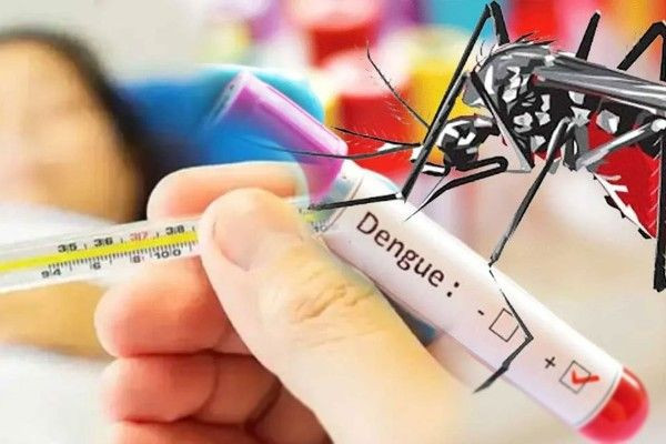 இலங்கையில் 54,000 ஐ தாண்டிய டெங்கு நோயாளிகளின் எண்ணிக்கை