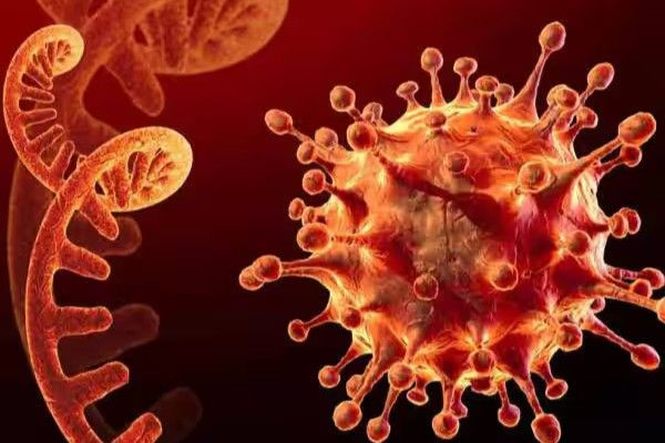 இரு இந்தியருக்கு ஹண்டா வைரஸ்?