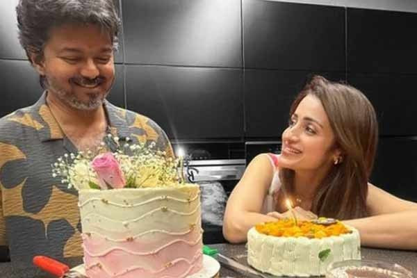 விஜய் பிறந்தநாளை கேக் வெட்டி  கொண்டாடிய திரிஷா !