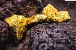  பல ஆண்டுகளாக சேமித்துவைத்த தங்கத்தை தவறுதலாக குப்பையில் வீசிய நபர்