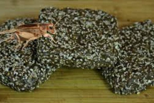 புரோட்டீன் பார்களில் வெட்டுக்கிளிகள்