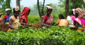 200 வருடங்கள் கடந்தும் தொடரும் வலிகளும், சுமைகளும் !