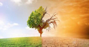 கதிகலங்க வைக்கும் காலநிலை மாற்றம்