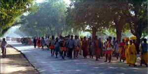 பாத யாத்திரை பாரம்பரியத்தை பேணுவது போல் காடுகளை பாதுகாப்பதும் நம் கடமையே - கலாநிதி என்.கே.எஸ். திருச்செல்வம்