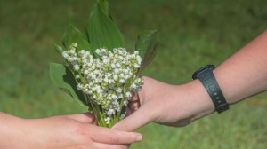 காடுகளில் பூக்களை கடத்துபவர்களுக்கு €45,000 வரை அபராதம்!