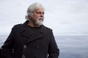 புகலிட விண்ணப்பம் நிராகரிக்கப்பட்ட பிறகும், "சட்டம் என் பக்கம் இருக்க வேண்டும்" என்று ஆர்வலர் பால் வாட்சன் கூறுகிறார்!!