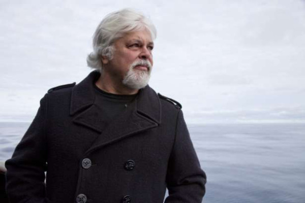 புகலிட விண்ணப்பம் நிராகரிக்கப்பட்ட பிறகும், "சட்டம் என் பக்கம் இருக்க வேண்டும்" என்று ஆர்வலர் பால் வாட்சன் கூறுகிறார்!!