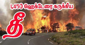 நார்போனில் 1,450 ஹெக்டேரை கருக்கிய தீ! A9 நெடுஞ்சாலை மூடப்பட்டது!