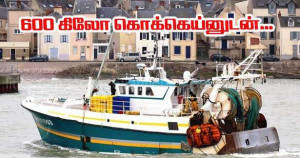 600 கிலோக்கும் அதிகமான கொக்கெய்ன் பறிமுதல் - மிகப்பெரிய போதைப்பொருள் கடத்தலில் தொடர்புடையவர் விடுதலை!