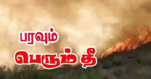 பரவலான  தீ - முகாம்கள், பேருந்துப் பாதைகள் மூடப்பட்டன!