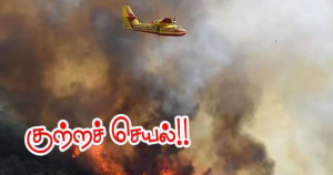 காட்டுக்குத் தீ வைத்த 17 வயது சிறுவன் கைது!