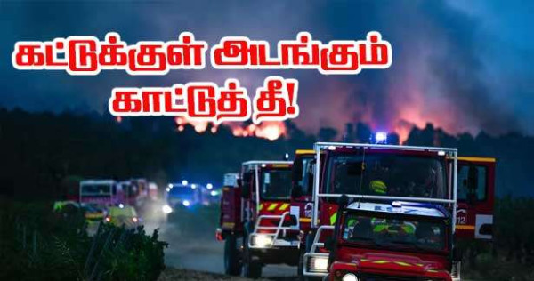 காட்டுத்தீ நிலவரம் - தீ பரவல் குறைந்துள்ளது என மாவட்டஆணையம் உறுதிப்படுத்துகிறது!