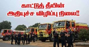 காட்டுத்தீ அபாயம் - 25 மாவட்டங்கள் கடும் எச்சரிக்கையில்!