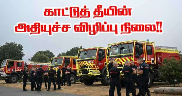 காட்டுத்தீ அபாயம் - 25 மாவட்டங்கள் கடும் எச்சரிக்கையில்!