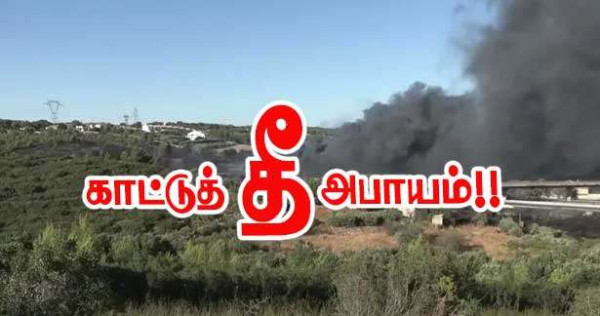 அதியுச்சக் காட்டுத் தீ அபாயம்!