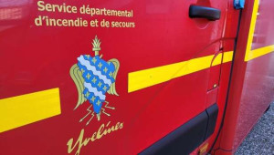 Yvelines : நீச்சல் தடாகத்துக்குள் விழுந்த குதிரை! - 20 தீயணைப்பு படையினர் போராடி மீட்பு!