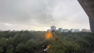 Montparnasse மயானத்தில் விழுந்த இடி! - தீப்பிடித்த மரம்!