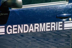 Essonne : வளர்ப்பு நாயைக் கொன்றுவிட்டு - கொள்ளை!! 