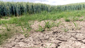 நீண்டகால வறட்சியை நோக்கி இல்-து-பிரான்ஸ்..?!