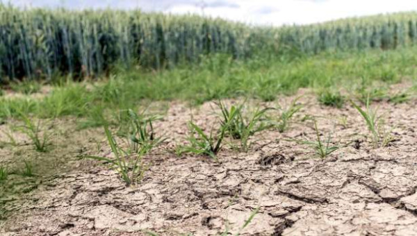 நீண்டகால வறட்சியை நோக்கி இல்-து-பிரான்ஸ்..?!