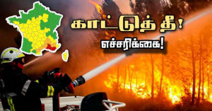 காட்டுத்தீ பரவும் அபாயம்! - மூன்று மாவட்டங்களுக்கு ‘சிவப்பு’ எச்சரிக்கை!!
