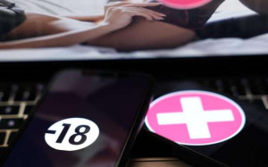 ஆபாச இணையத்தளங்களுக்கு காலக்கெடு!!