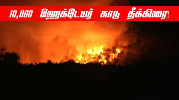 Aude மாவட்டத்தில் பாரிய தீ! - 10,000 ஹெக்டேயர்கள் தீக்கிரை - ஏழு பேர் கவலைக்கிடம்!!