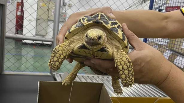 உயிரினங்கள் கடத்தல் அதிகரிப்பு!!