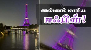 இளஞ்சிவப்பு நிறத்தில் - ஈஃபிள்!!