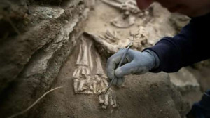 15,000 வருடங்களுக்கு முற்பட்ட நாயின் எலும்புக்கூடு கண்டுபிடிப்பு!!