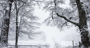 பனிப்பொழிவு, வெள்ளம், பனிச்சரிவு- பல்வேறு மாவட்டங்களுக்கு எச்சரிக்கை!