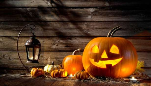 766 கிலோ எடை பூசணிக்காயால் சூரிச் விவசாயி சாதனை