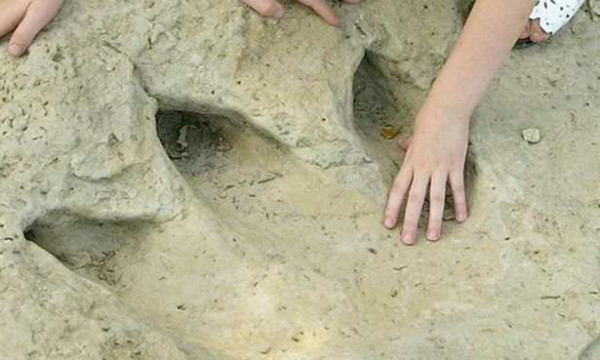 புதிய டைனோசர் இன கால்தடம் கண்டுபிடித்த விஞ்ஞானிகள்