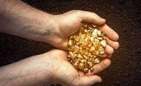 நீச்சல் குளத்திற்காக பள்ளம் தோண்டிய நபருக்கு கிடைத்த புதையல்