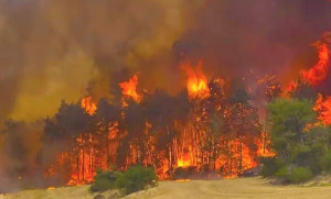 ■ ஜெருசலத்தில் தீ : களமிறங்கும் பிரான்ஸ்!!